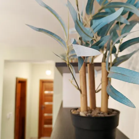 Timmys Nest Apartment